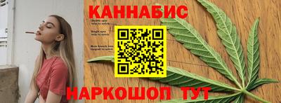 стафф Камышлов