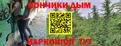 стафф Камышлов
