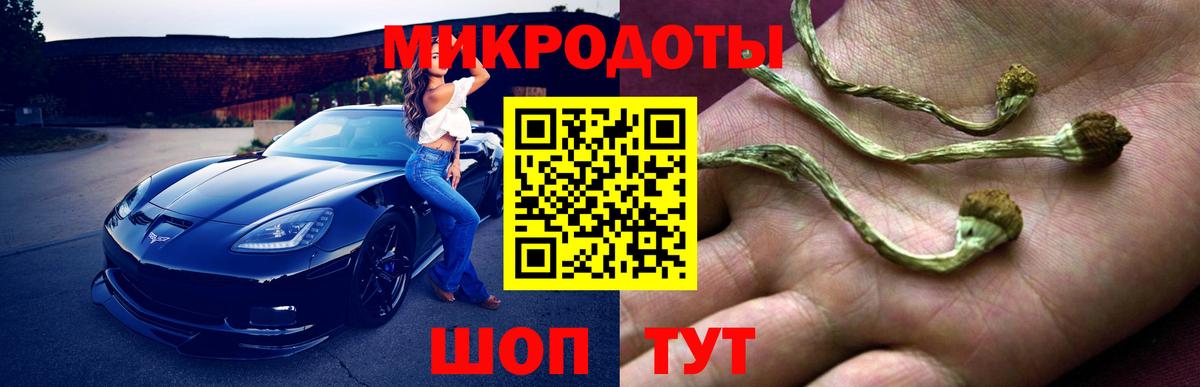 Галлюциногенные грибы Cubensis  Вход с VPN  Лесозаводск 